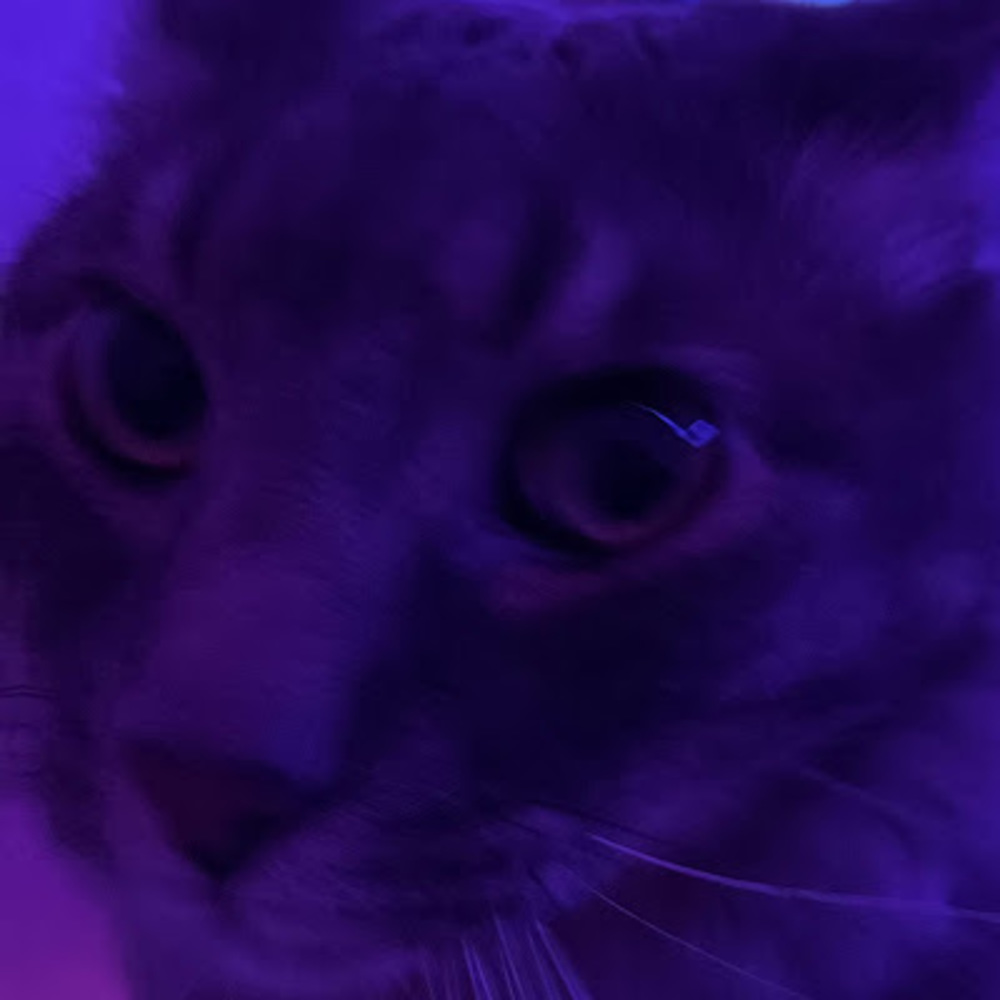 Meet your Posher, Ashlyn